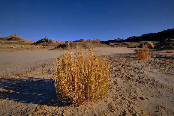 Translated from the Navajo word Bistahí, Bisti means "among the adobe formations."