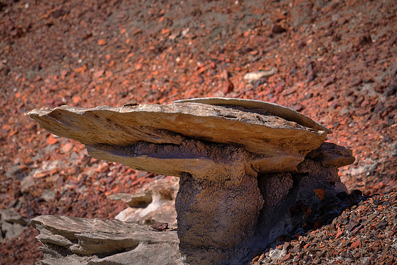 The water left a 1,400-foot layer of jumbled sandstone, mudstone, shale, and coal undisturbed for 50 million years.