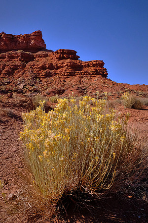 Valley of the Gods, Utah