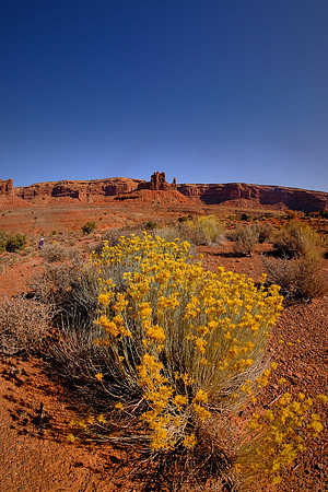 Valley of the Gods, Utah