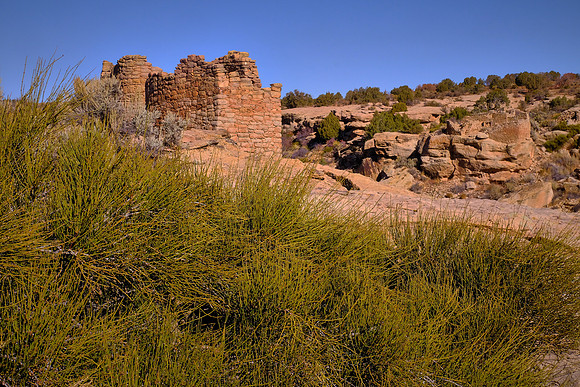 The early Hovenweep people built large stone towers, living quarters and other shelters to safeguard springs and seeps.