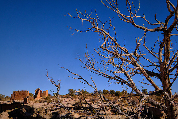 By 1160 A.D., they began building larger pueblo residential complexes, up to 3-story towers, dams, and reservoirs.