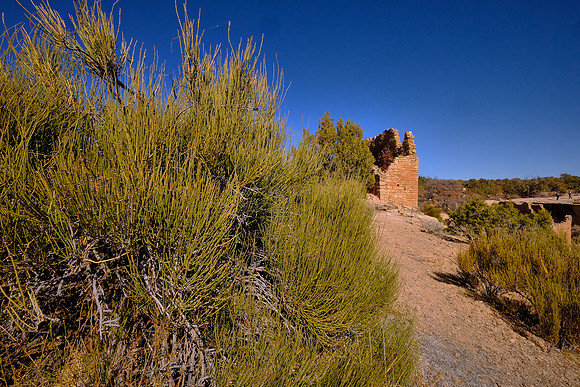 The stone pueblos and towers of the Hovenweep people exhibit expert masonry skills and engineering.