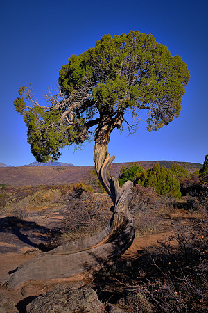 South rim, Black Canyon of the Gunnison National Park, Gunnison, Colorado