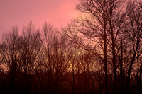 2024 March - Parkway Sunset & Sunrise