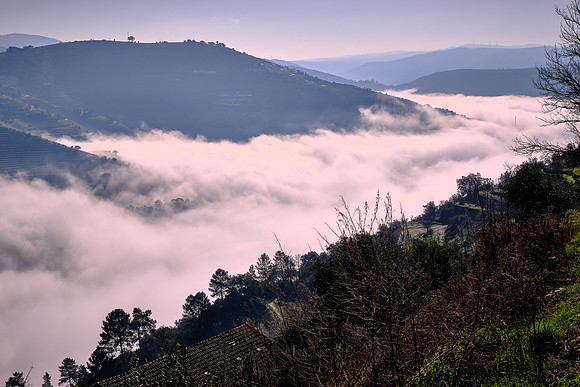 One morning we drove north to the Douro River Valley.
