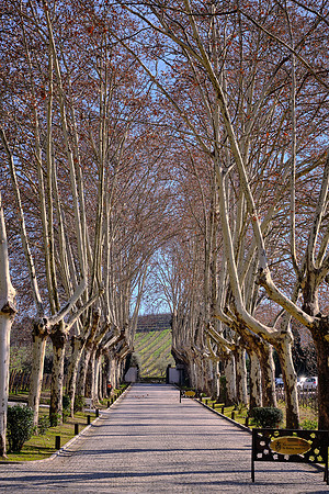 The Douro region of northern Portugal is the photogenic home of fortified Port wine.