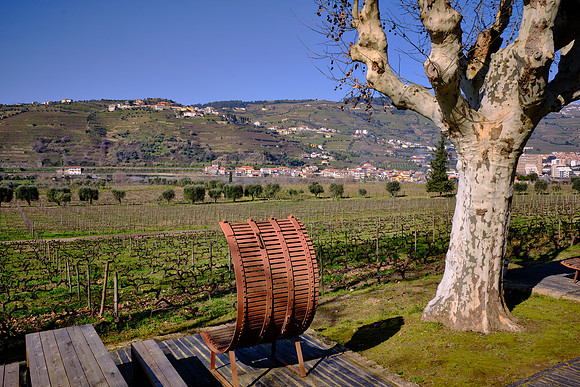 We visited the Pacheca Winery that features both Port and red and white wine.