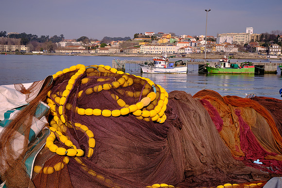 Fishing is a major economic activity in Portugal.  The country has a high fish consumption per capita.