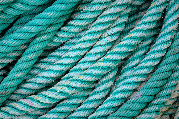 The Portuguese fishing fleet dropped from 12,299 vessels in 1994 to 10,933 in 1999.