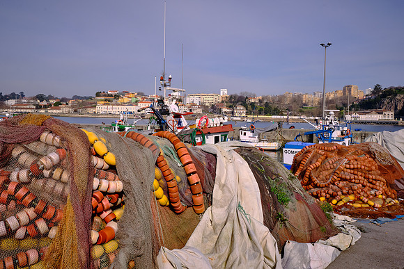 From 1994 to 1999, the number of registered fishing workers fell from 31,721 to 27,191.