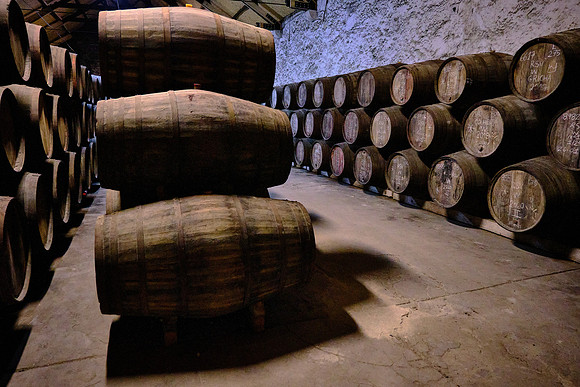 Over 100 natural grape varieties grow in the unique climatic conditions of the Douro Valley.