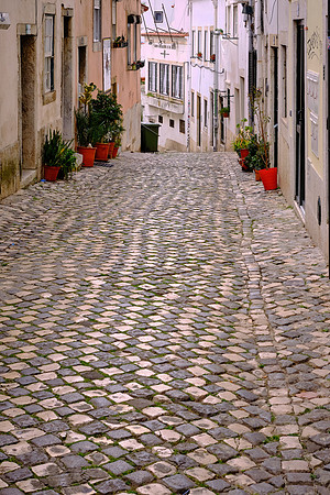 We took a walking tour of the old town of Lisbon.