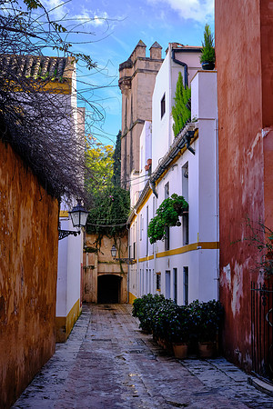 Seville was sacked by Vikings in the mid-9th century.