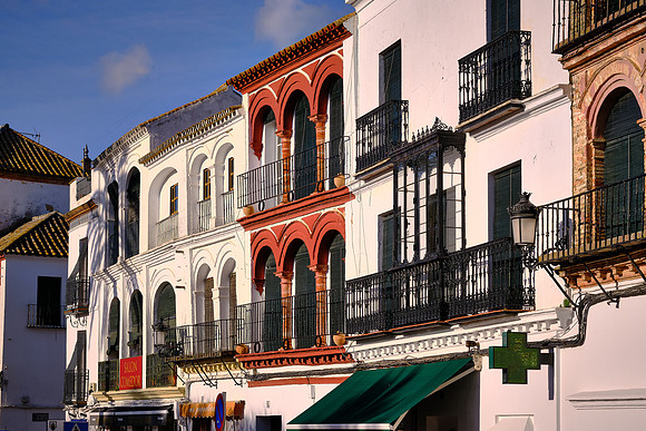 The writer Miguel de Cervantes lived primarily in Seville between 1596 and 1600.
