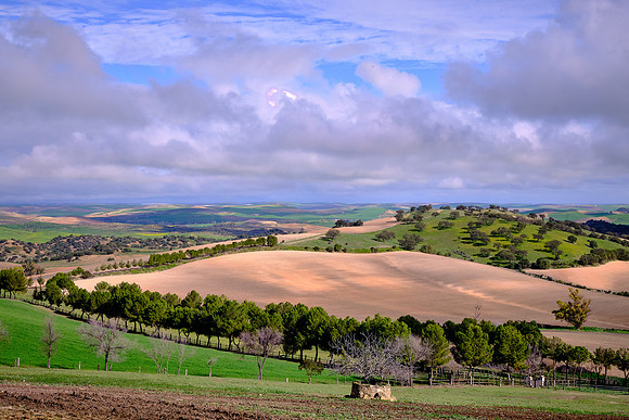 We left the town of Carmona and made our way to the town of Ronda.