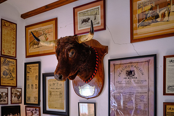 Murube bulls have been used in bullfights in the country’s most prestigious venues.