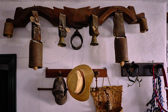 La Cobatilla bulls have been used in the bullrings of Ronda and Madrid.