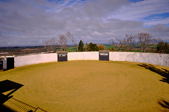 Bullfighting became a means for poor, able-bodied men to achieve fame and fortune.