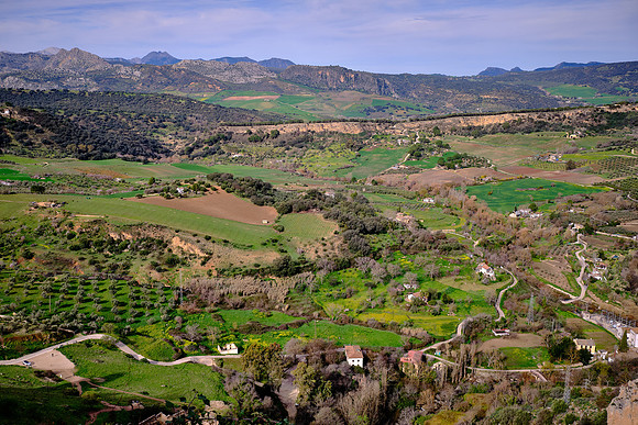 The predominate crop in the valley below Ronda is olives and olive oil.