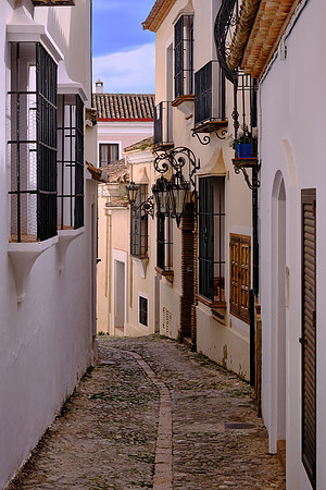 In “For Whom the Bell Tolls” Hemingway describes the execution of Nationalist sympathizers in the Spanish Civil War.