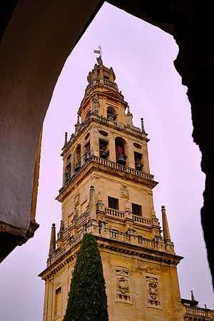 We traveled from Ronda to the city of Córdoba.