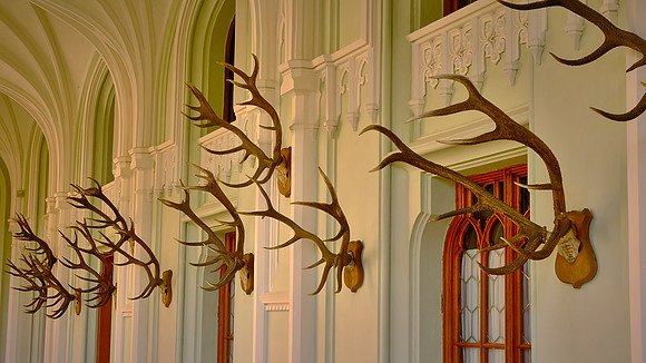 The chateaux incorporated a Baroque and Gothic Revival style architecture and was used as a hunting lodge.