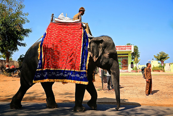 On the road to Agra, India
