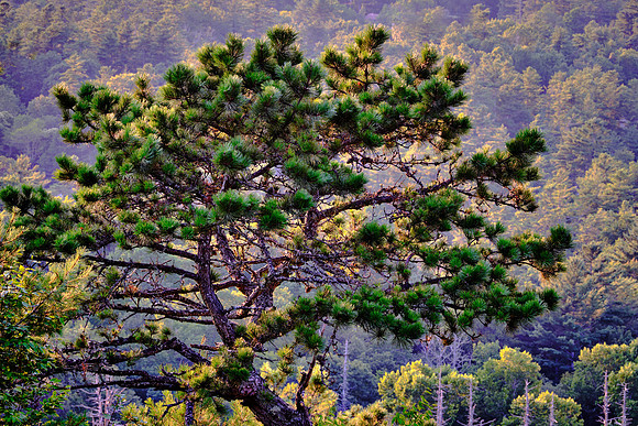 Sunset Rock, Highlands, NC