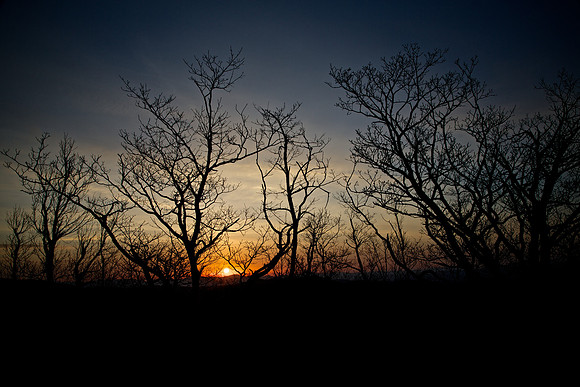 Sunrise: Pounding Mill Overlook, Blue Ridge Parkway, Brevard, NC