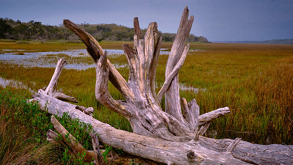 Botany Bay, Edisto Island, SC