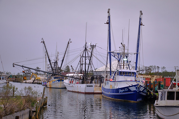 Engelhard Fishing Fleet, Engelhard, NC