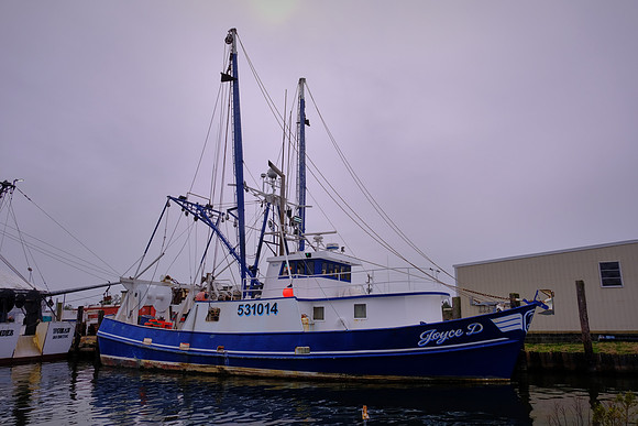 Engelhard Fishing Fleet, Engelhard, NC