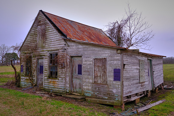 Rural Eastern North Carolina