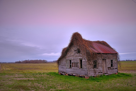 Rural Eastern North Carolina