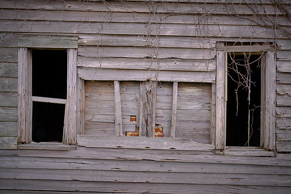 Rural Eastern North Carolina