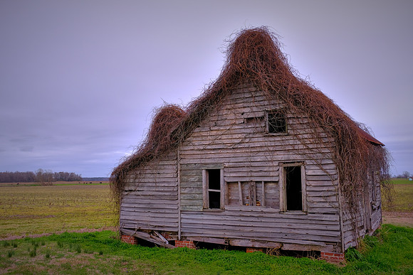Rural Eastern North Carolina