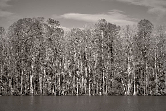 Roanoke River, Plymouth, North Carolina