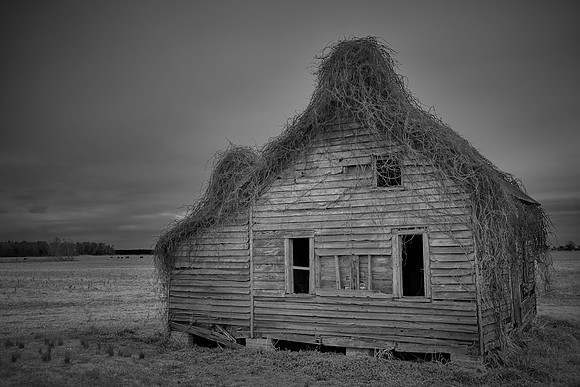 Rural Eastern North Carolina