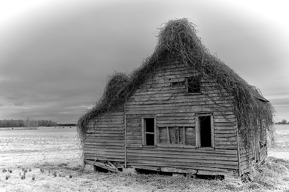 Rural Eastern North Carolina
