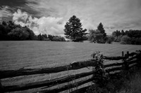 2024 May - Blue Ridge Parkway in Infrared
