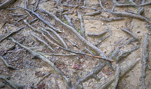 Hanging Rock State Park, Danbury, NC