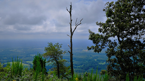 Pilot Mountain State Park, Pilot Mountain, NC
