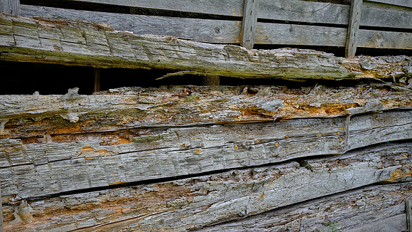 Grandpa's 1955 Ford station wagon in an older barn, Stokes County, NC