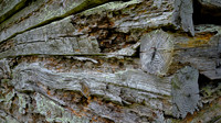2020 Aug - Pilot Mountain, NC