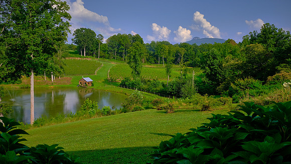 PIlot Knob from Jolo Winery and Vineyards, PIlot Mountain, NC