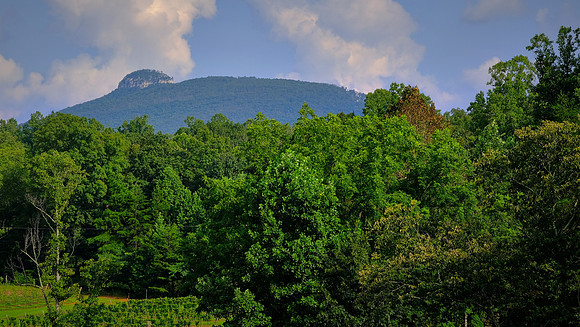 PIlot Knob from Jolo Winery and Vineyards, PIlot Mountain, NC