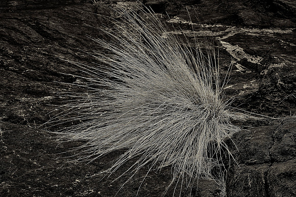 Titus Canyon, Death Valley NP, CA