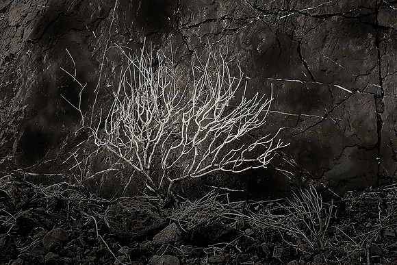 Echo Canyon, Death Valley NP, CA