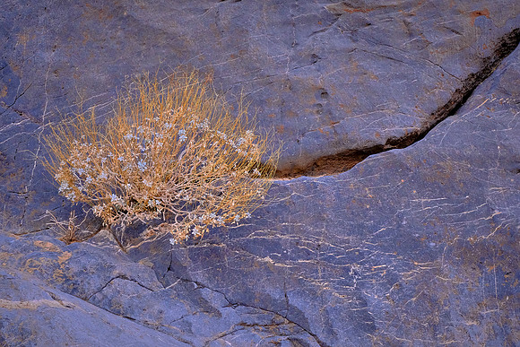 Echo Canyon, Death Valley NP, CA